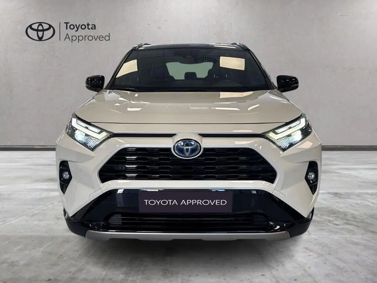 Toyota Rav4 usata a Prato (4)