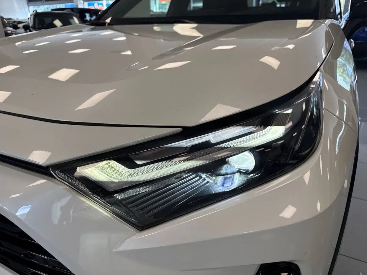 Toyota Rav4 usata a Prato (8)