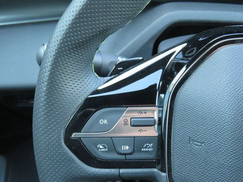 Peugeot 308 SW usata a Monza e Brianza (19)