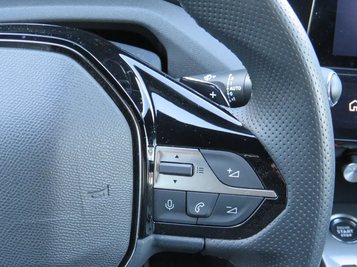 Peugeot 308 SW usata a Monza e Brianza (20)