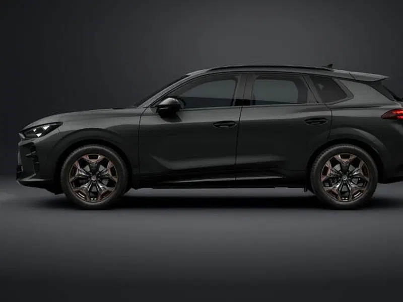 Cupra Terramar nuova a Vicenza (2)