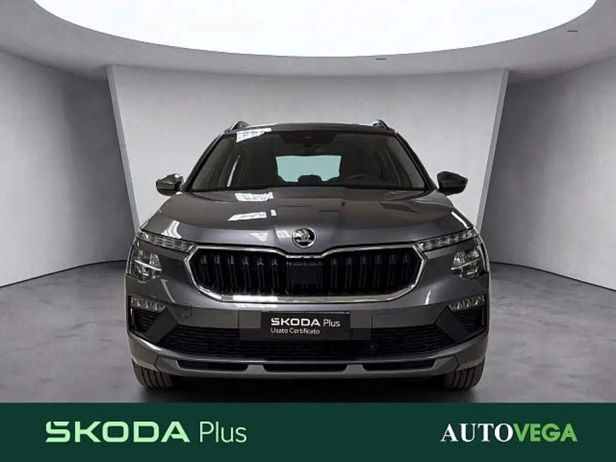 Skoda Kamiq usata a Vicenza (2)