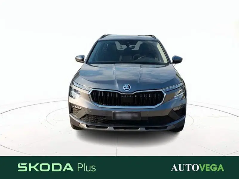 Skoda Kamiq usata a Vicenza (2)
