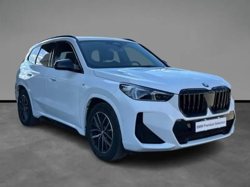 BMW X1 usata a Verona (16)