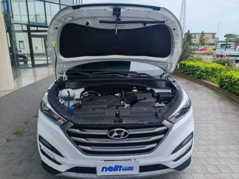 Hyundai Tucson usata a Pisa (17)