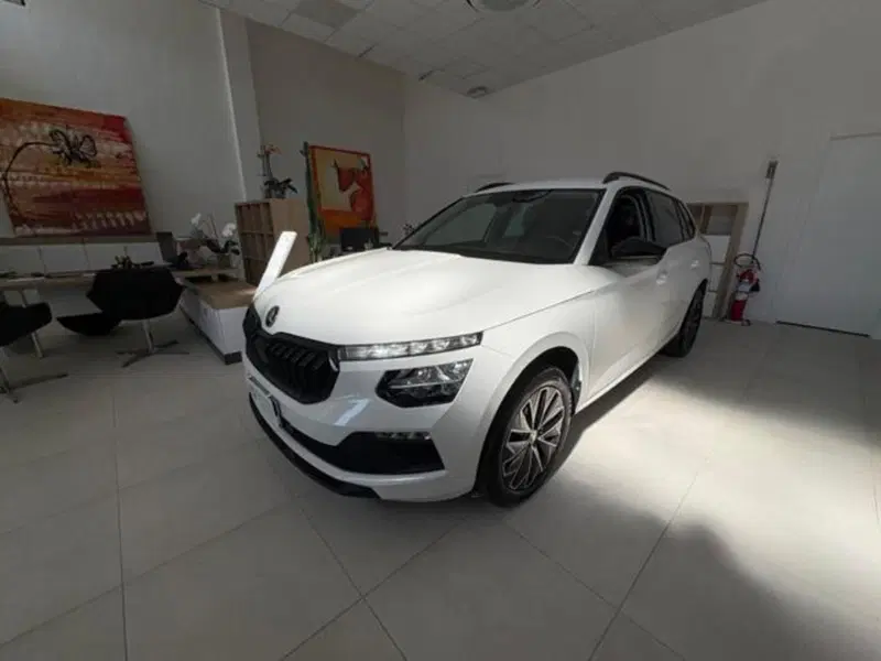 Skoda Kamiq usata a Pisa
