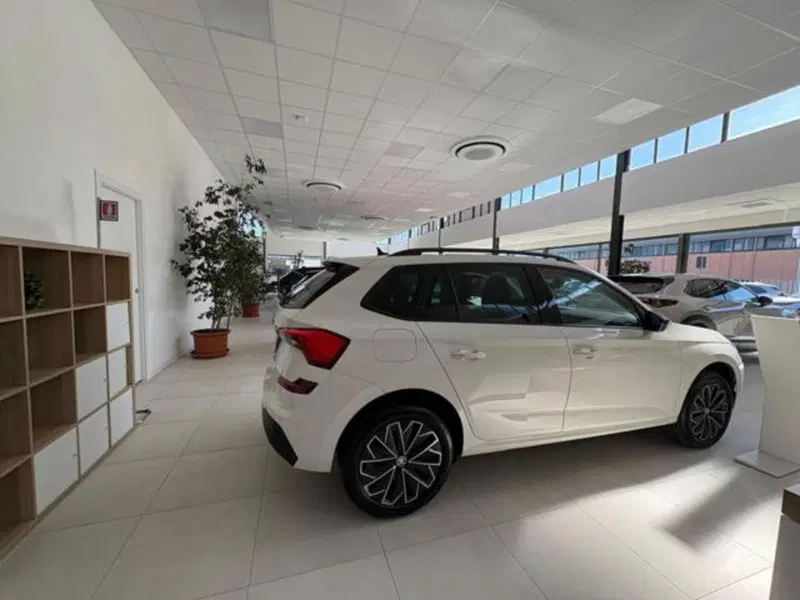 Skoda Kamiq usata a Pisa (10)