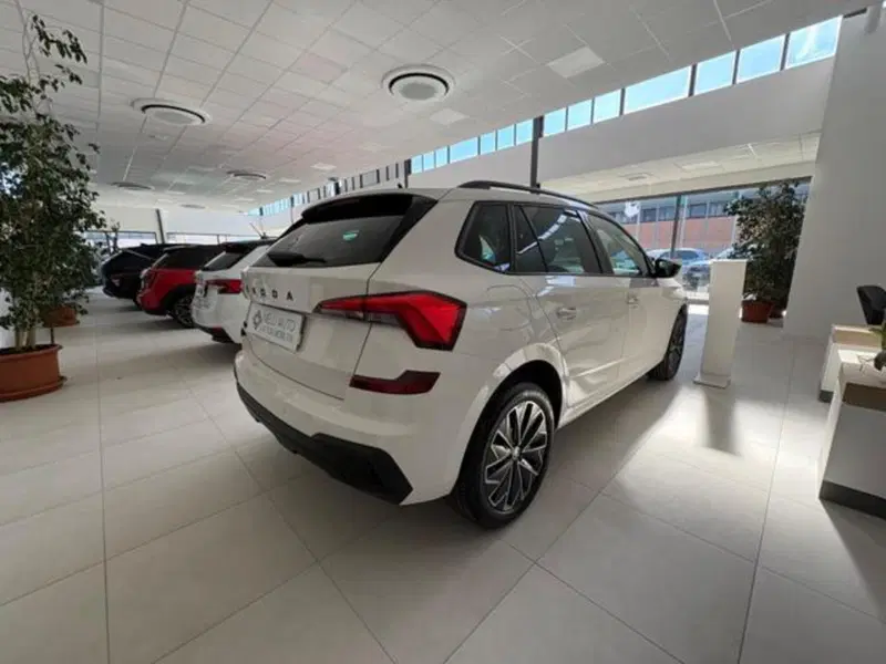Skoda Kamiq usata a Pisa (11)