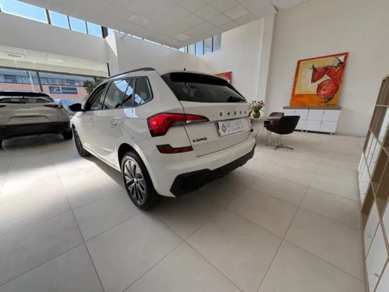 Skoda Kamiq usata a Pisa (12)