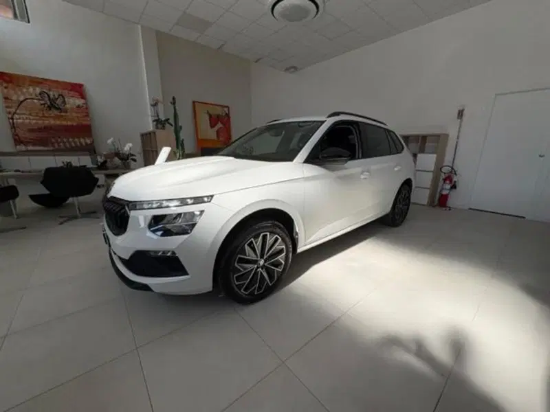 Skoda Kamiq usata a Pisa (13)