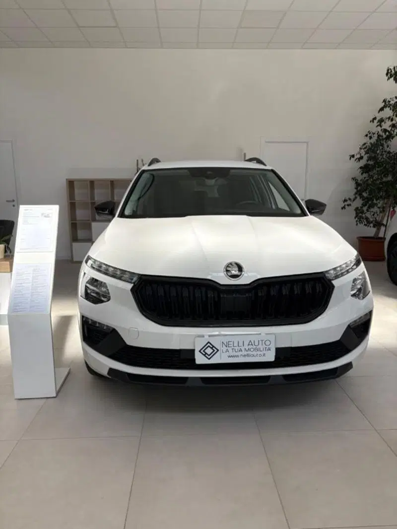 Skoda Kamiq usata a Pisa (14)