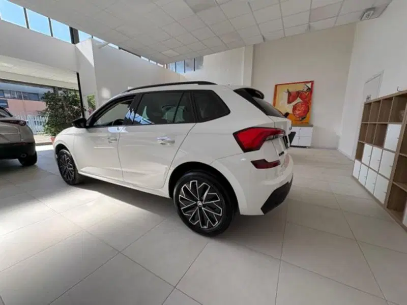 Skoda Kamiq usata a Pisa (6)