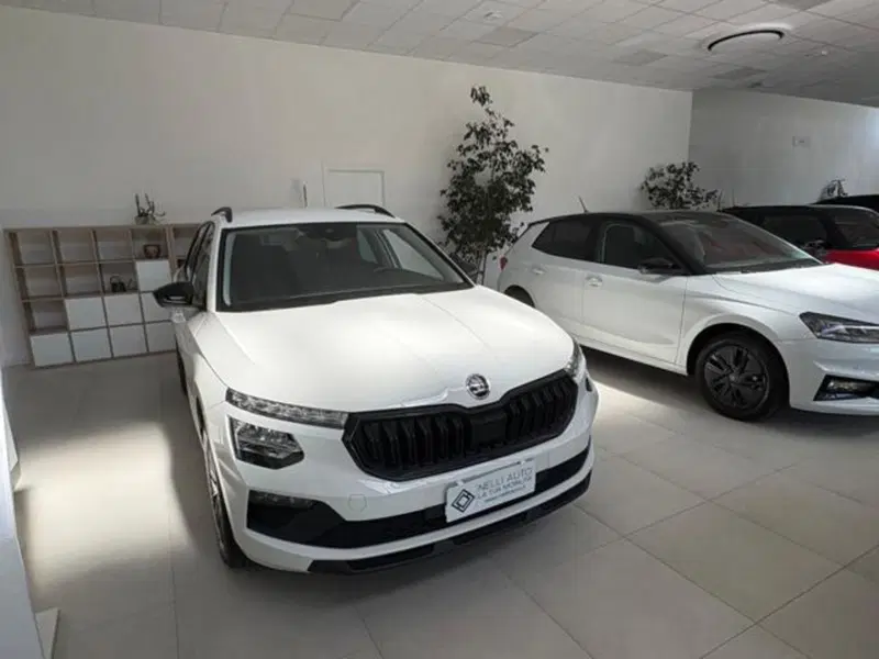 Skoda Kamiq usata a Pisa (8)