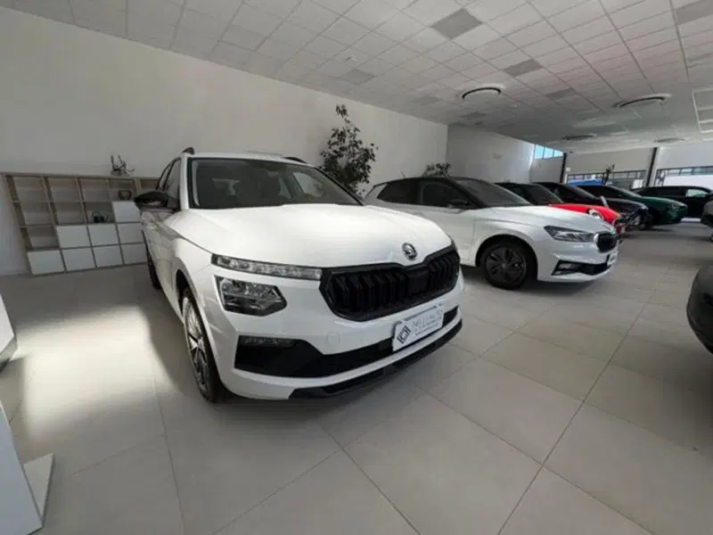 Skoda Kamiq usata a Pisa (9)