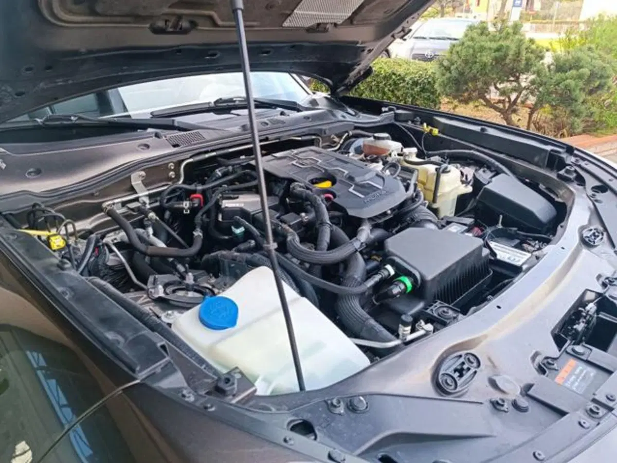 Fiat 124 spider usata a Pisa (15)