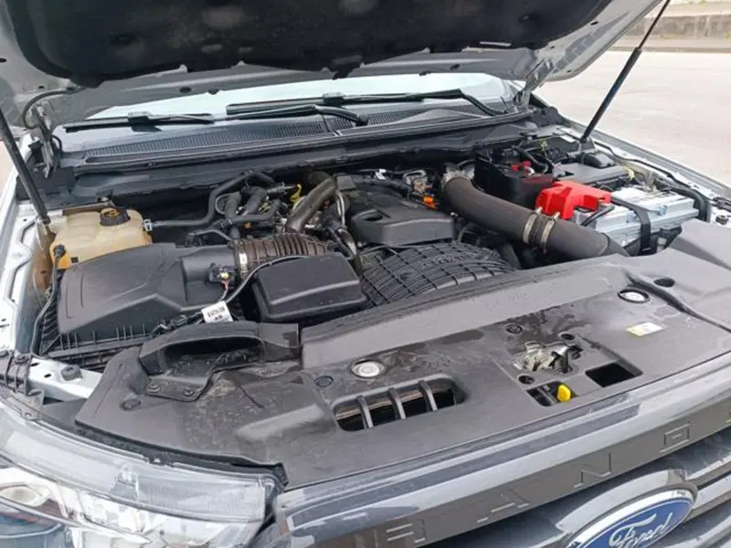 Ford Ranger Pick-up usata a Pisa (3)