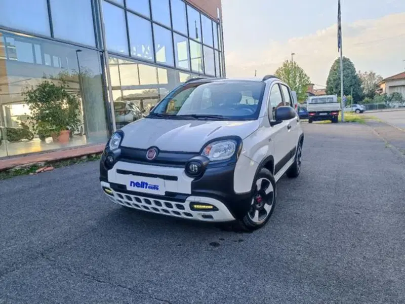 Fiat Panda usata a Pisa