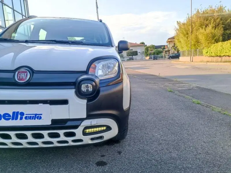 Fiat Panda usata a Pisa (19)