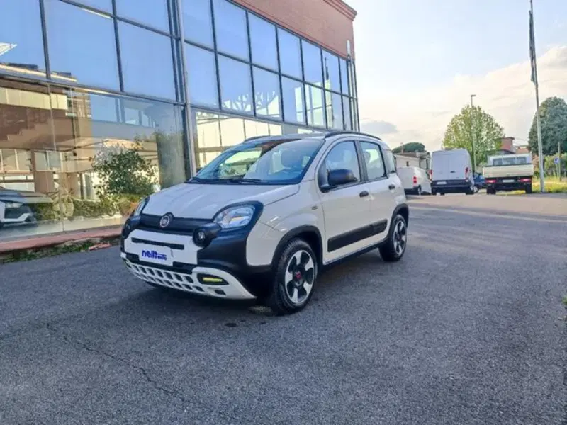 Fiat Panda usata a Pisa (20)