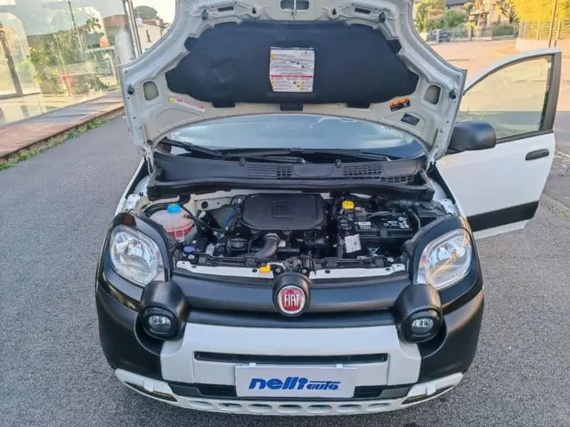 Fiat Panda usata a Pisa (5)