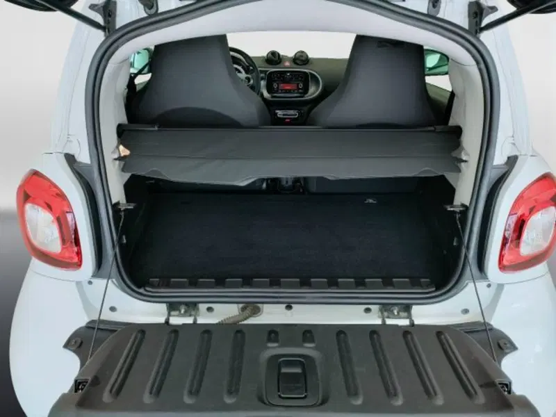 smart Fortwo usata a Teramo (11)