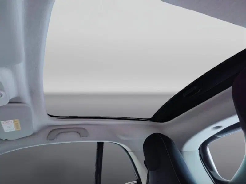 smart Fortwo usata a Teramo (16)