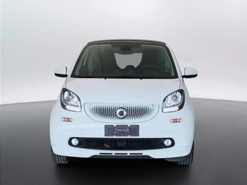 smart Fortwo usata a Teramo (2)