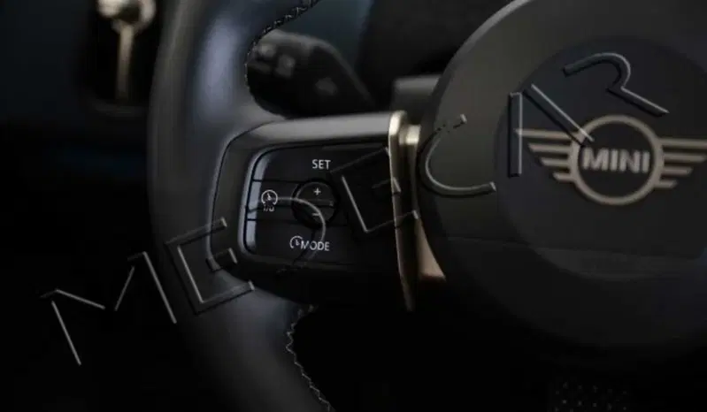 MINI Mini Countryman usata a Potenza (11)
