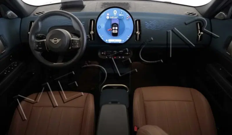 MINI Mini Countryman usata a Potenza (4)