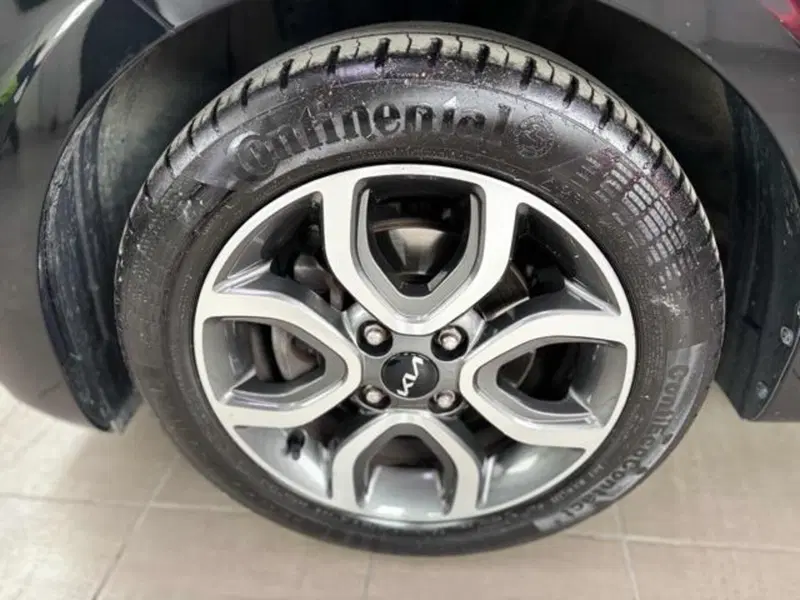 Kia Picanto usata a Pesaro-Urbino (3)