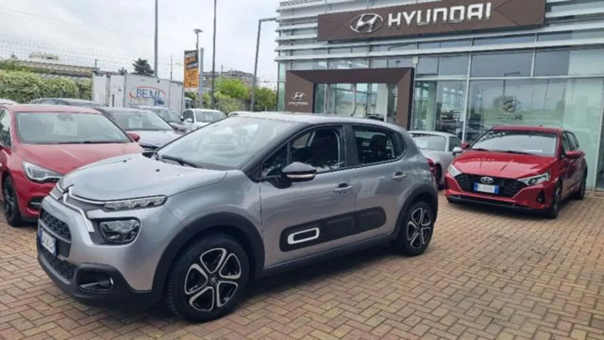 Citroen C3 usata a Savona (4)
