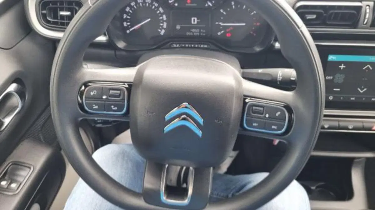 Citroen C3 usata a Savona (9)