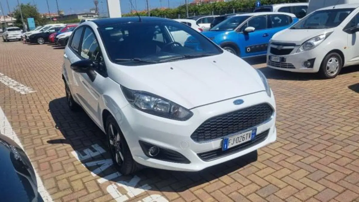 Ford Fiesta usata a Savona (2)