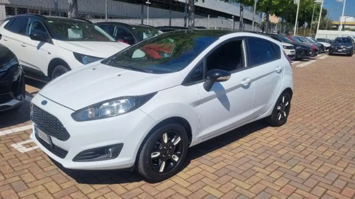 Ford Fiesta usata a Savona (3)