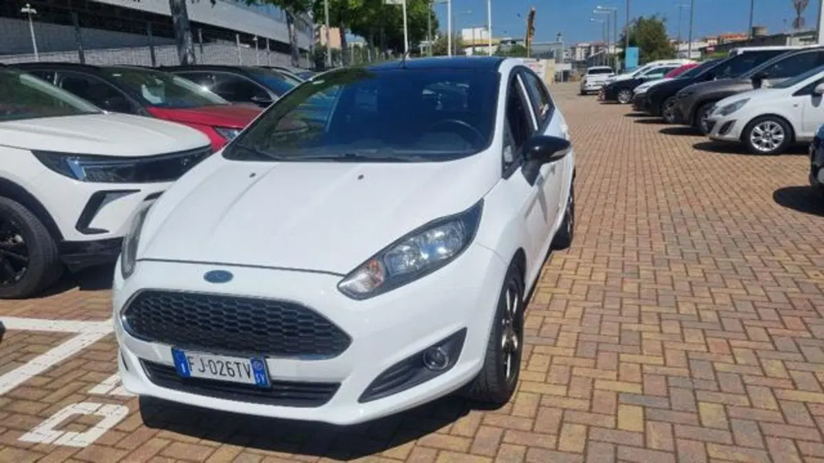 Ford Fiesta usata a Savona (4)