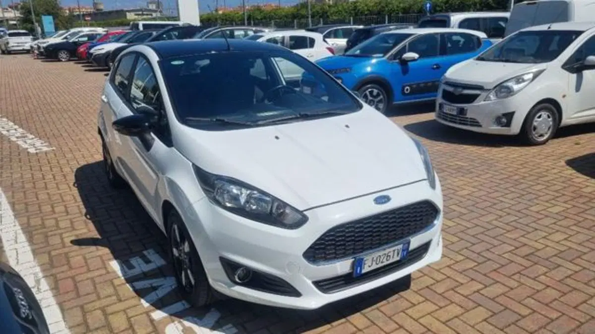 Ford Fiesta usata a Savona (5)