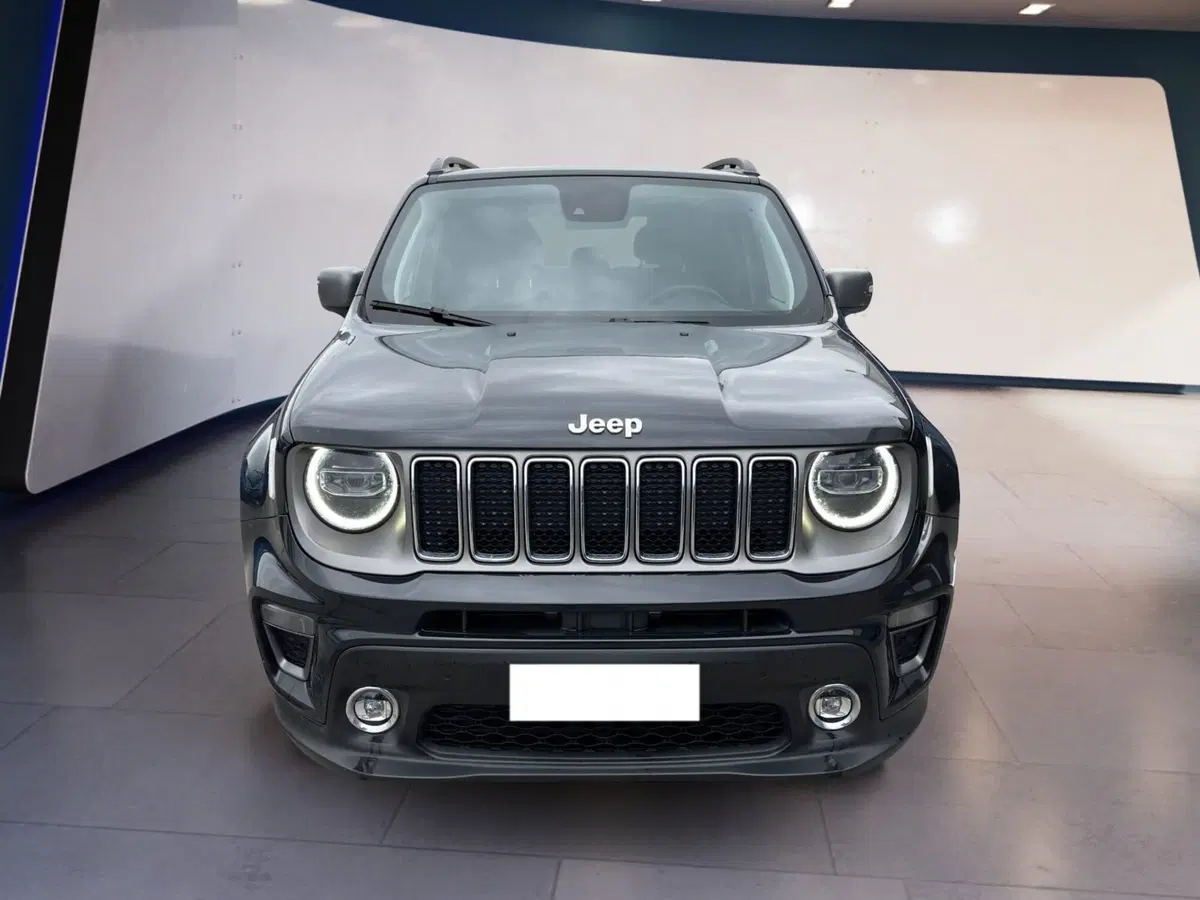 Jeep Renegade usata a Torino