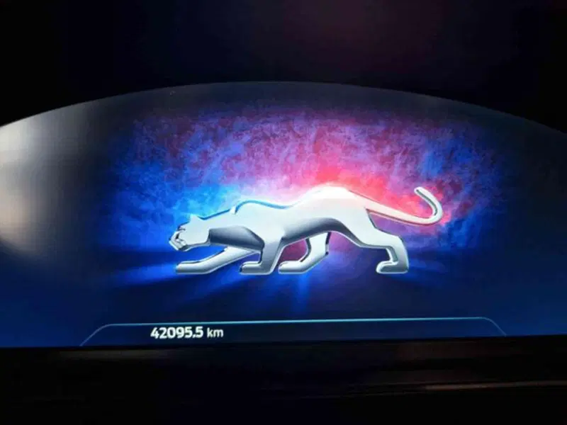 Ford Puma usata a Bologna (10)