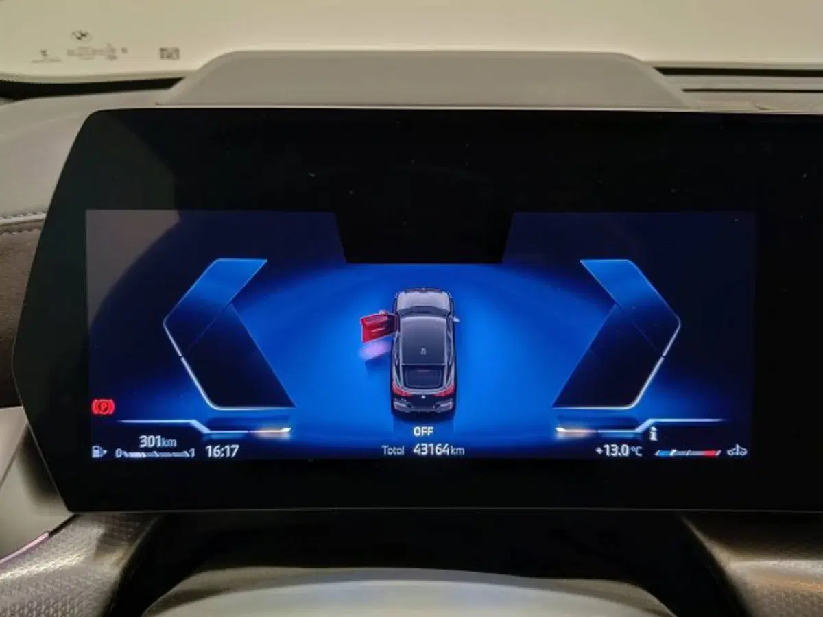 BMW X2 usata a Teramo (12)