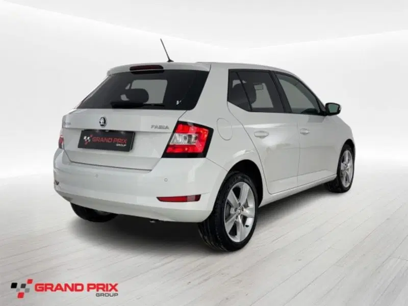 Skoda Fabia usata a Bologna (2)