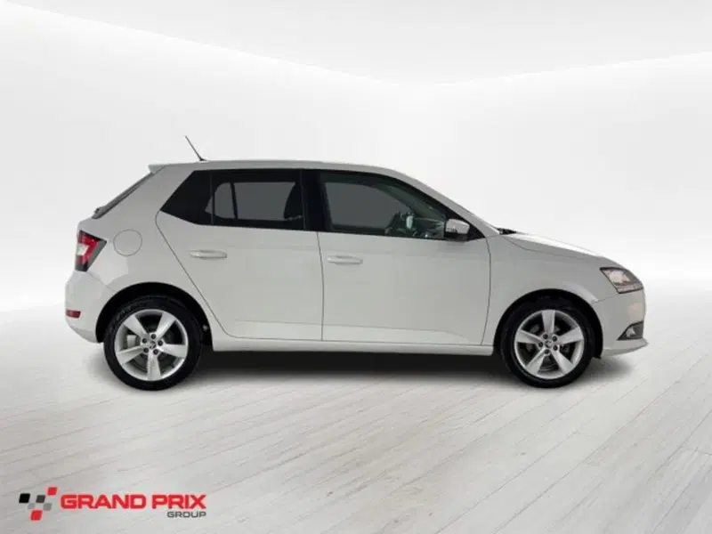 Skoda Fabia usata a Bologna (4)