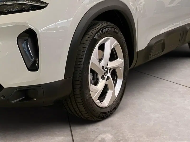Citroen C5 Aircross usata a Torino (15)