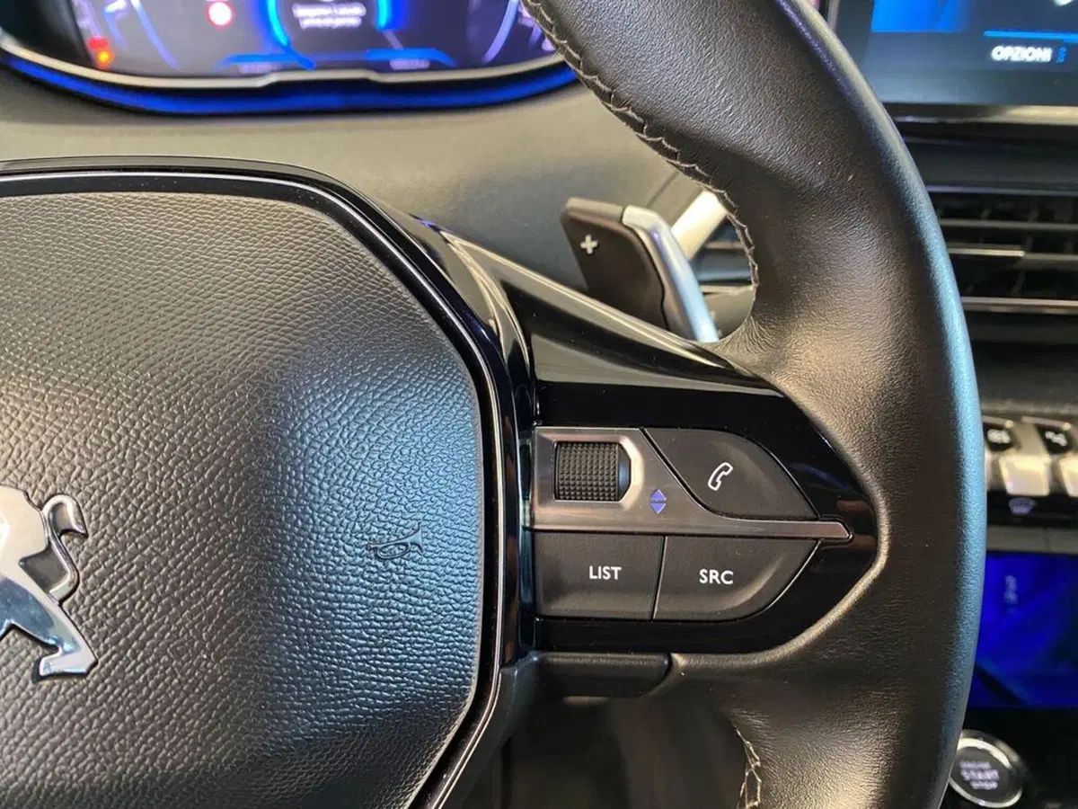 Peugeot 3008 usata a Torino (14)
