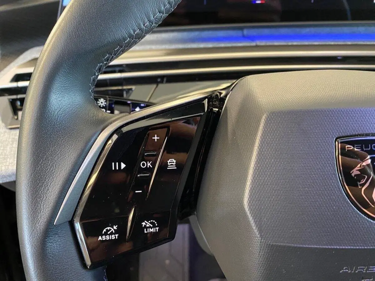 Peugeot 3008 usata a Torino (13)