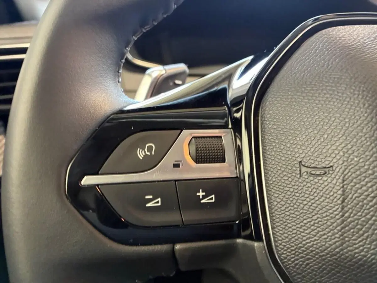 Peugeot 208 usata a Torino (13)