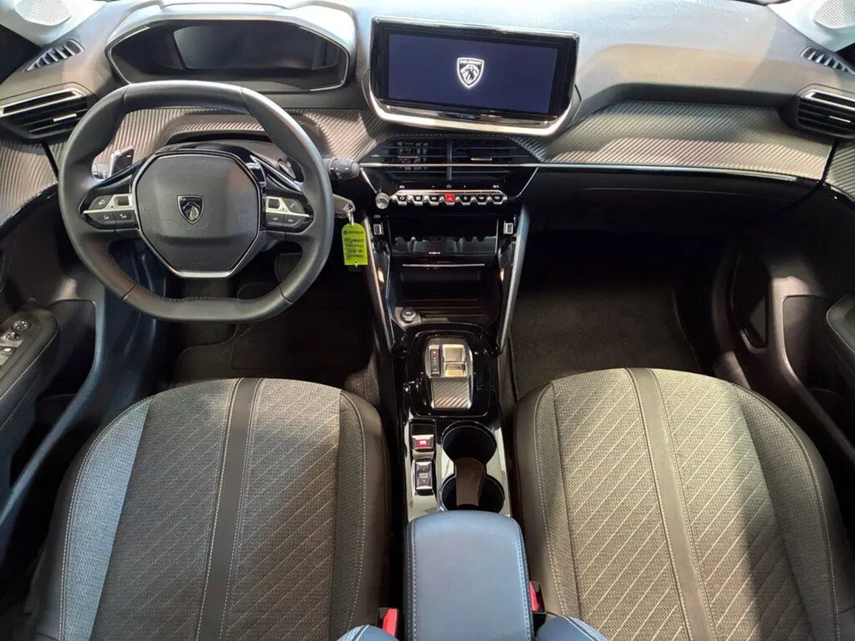 Peugeot 208 usata a Torino (6)