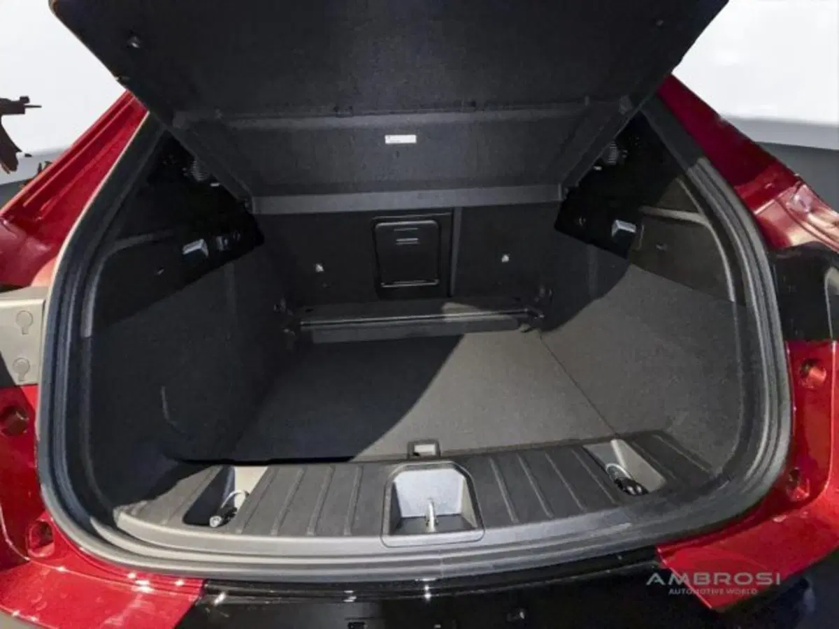 Alfa Romeo Tonale nuova a Perugia (9)