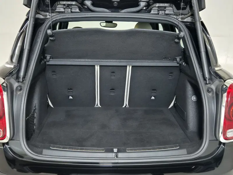MINI Mini Countryman usata a Torino (12)