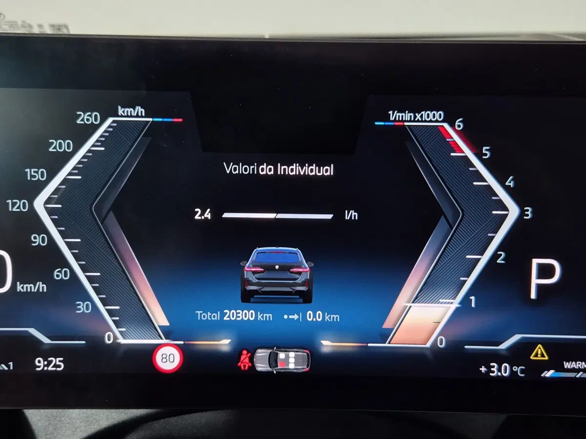 BMW Serie 5 Touring usata a Torino (15)