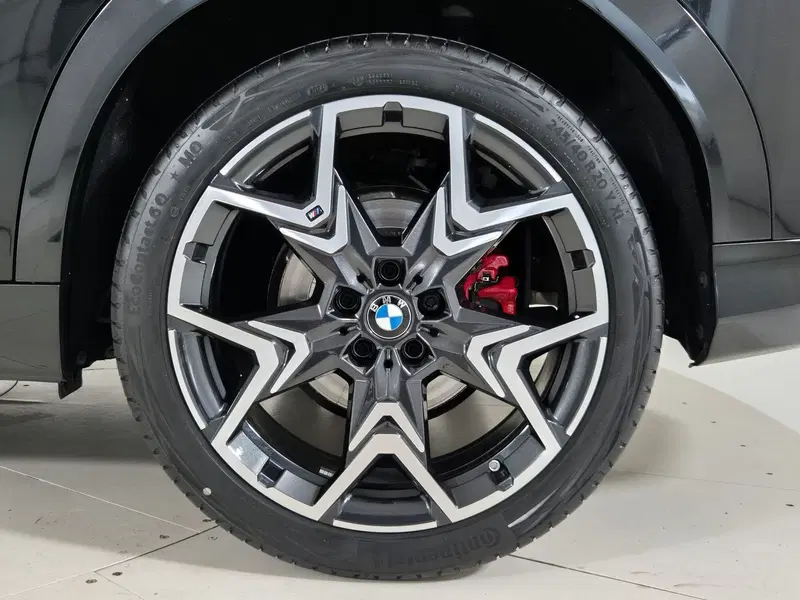BMW X2 usata a Torino (14)